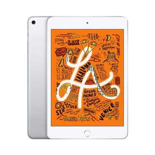 Refurbished Apple iPad Mini 5th Gen (A2133)/256GB/3GB RAM/WiFi/Silver/A (2019)
