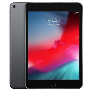 Refurbished Apple iPad Mini 5th Gen (A2124)/256GB/3GB RAM/EE/Space Grey/A (2019)