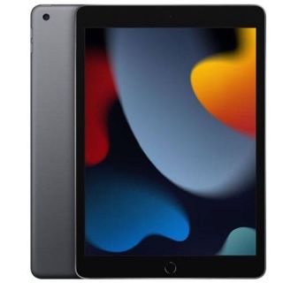 Refurbished Apple iPad 9th Gen (A2602) 10.2" 256GB - Space Grey, WiFi A