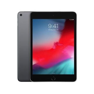 Refurbished Apple iPad Mini 5th Gen (A2124)/64GB/3GB RAM/EE/Space Grey/A (2019)